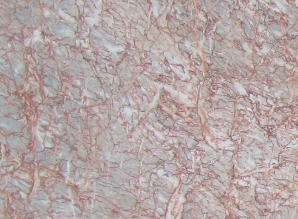 DDDM-008